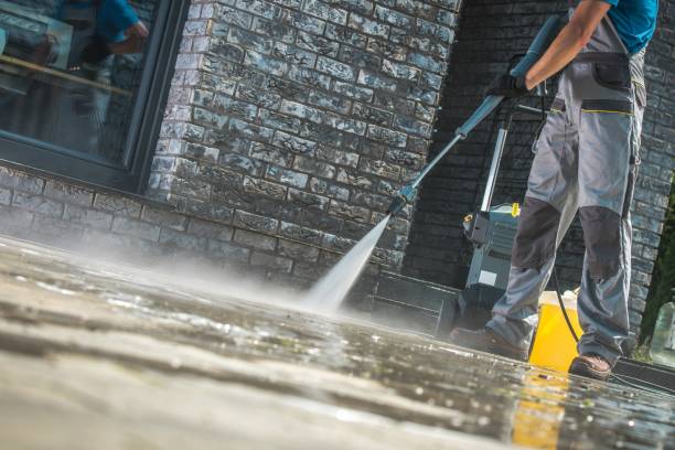 Best Driveway Cleaning and Restoration in Baxter, MN